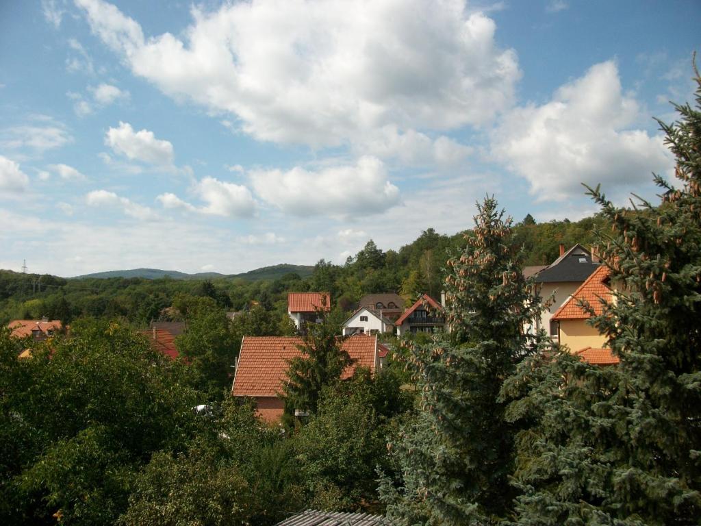 Hotel Szamoca Vendeghaz Miškovec Exteriér fotografie