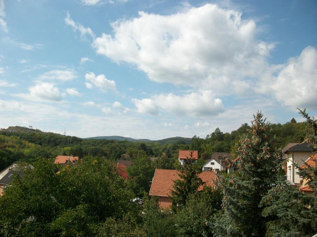 Hotel Szamoca Vendeghaz Miškovec Exteriér fotografie